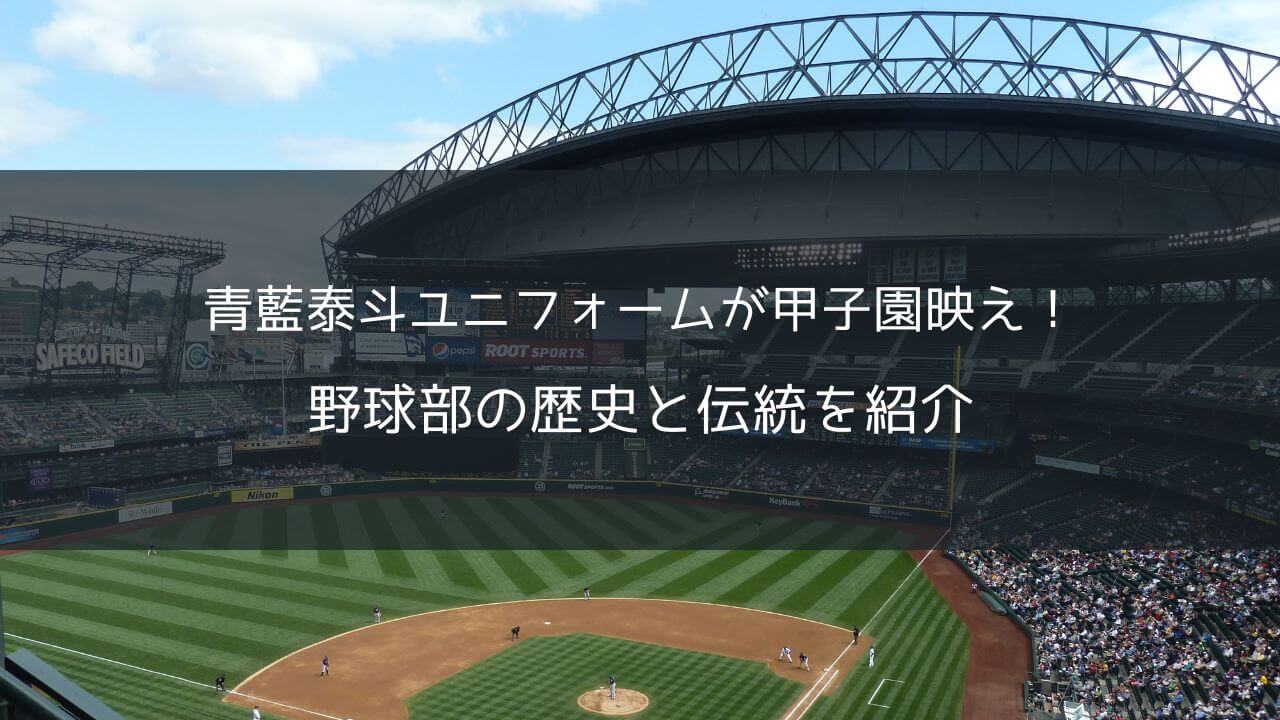 青藍泰斗ユニフォームが甲子園映え！