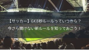 【サッカー】GKの8秒ルールっていつから?今さら聞けない新ルールを知っておこう!